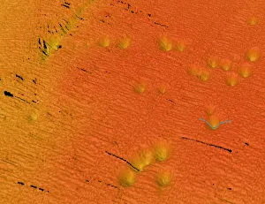 Pock Marks discovered on sea floor Pock Marks discovered on sea floor