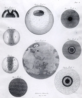 The Sacred Theory of Earth by Thomas Burnet, 1817 The Sacred Theory of Earth by Thomas Burnet, 1817