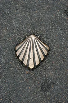 Santiago trail scallop shell sign Santiago trail scallop shell sign