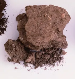 Geology Studio Shot Prints: Sample of chalk soil
