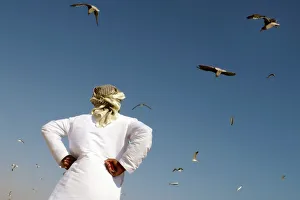 Seagull. indian Ocean. Oman. Asia Seagull. indian Ocean. Oman. Asia