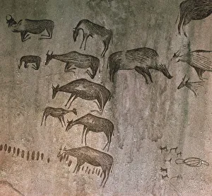 Tanzania, Dodoma Region, Rock drawings Tanzania, Dodoma Region, Rock drawings
