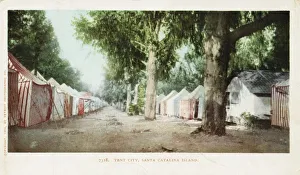 Tent City, Santa Catalina Island Postcard. 1904, Tent City, Santa Catalina Island Postcard Tent City, Santa Catalina Island Postcard. 1904, Tent City, Santa Catalina Island Postcard