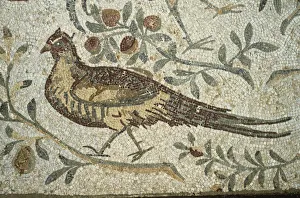 Tunisia, Carthage, Roman mosaic, bird Tunisia, Carthage, Roman mosaic, bird
