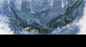 Watercolour painting of underwater scene showing typical fish of large rivers, sea trout Watercolour painting of underwater scene showing typical fish of large rivers, sea trout