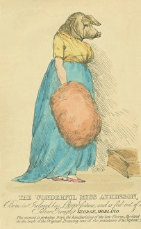 Wonderful Miss Atkinson, Pig - faced woman Wonderful Miss Atkinson, Pig - faced woman