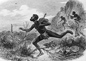 1863: Aboriginal hunters bee-hunters in the Australian bush 1863: Aboriginal hunters bee-hunters in the Australian bush