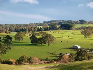 Australian Countryside Photography Prints: Adelaide Hills