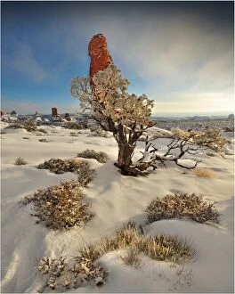 Images Dated 1st January 2010: Arches National Park in Utah, South-western United States, with a mantle of rare winter snow