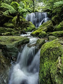 Australia, New South Wales, Katoomba, Leura Cascade in forest Australia, New South Wales, Katoomba, Leura Cascade in forest