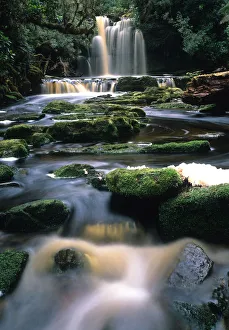 Australia, Tasmania, Wild Rivers National Park, tributary stream flowing from waterfall Australia, Tasmania, Wild Rivers National Park, tributary stream flowing from waterfall