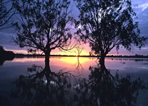 Australia, Victoria, flooded Hattah Lakes at sunset Australia, Victoria, flooded Hattah Lakes at sunset