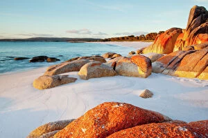 Images Dated 6th May 2014: Bay of Fires in Tasmania