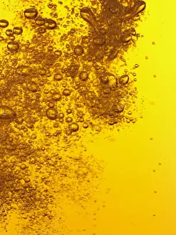 Refreshing Drink Images Prints: Beer