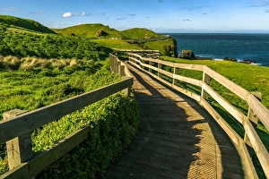 Boardwalk at Point Grant, Phillip Island, Victoria Boardwalk at Point Grant, Phillip Island, Victoria