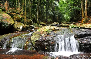 Cedar creek, Mount Tamborine, Queensland, Australia Cedar creek, Mount Tamborine, Queensland, Australia