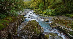 The Chasm in Fiordland National Park and Milford Sound Area in the Fiordland Region, Te Anau, South Island, New Zealand The Chasm in Fiordland National Park and Milford Sound Area in the Fiordland Region, Te Anau, South Island, New Zealand