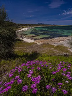 Coastal view at Blue Rocks, Flinders Island, Bass Straight, Tasmania Coastal view at Blue Rocks, Flinders Island, Bass Straight, Tasmania