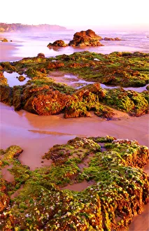 Dawn light on the Sapphire coastline, New South Wales, Australia Dawn light on the Sapphire coastline, New South Wales, Australia