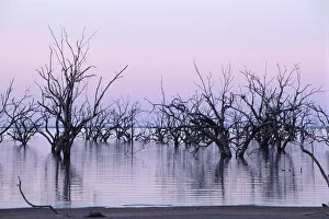 Dusk at Lake Pamamaroo, New South Wales, Australia Dusk at Lake Pamamaroo, New South Wales, Australia