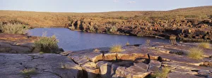 Fitzroy River at Sunset, Kimberley, Western Australia Fitzroy River at Sunset, Kimberley, Western Australia