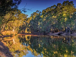 Images Dated 17th April 2019: Golden light of an Autumn dusk in the Murray valley National park
