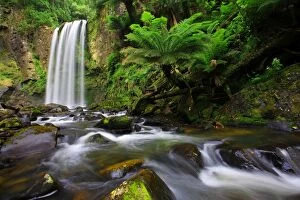 Great Ocean Road Collection: Hopetoun Falls, Great Otway NP, Australia