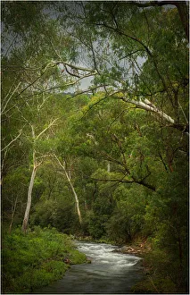 Howqua river, Alpine country of Victoria, Australia Howqua river, Alpine country of Victoria, Australia