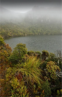 Ladies Tarn in mist, Hartz mountains national park, southern Tasmania Ladies Tarn in mist, Hartz mountains national park, southern Tasmania