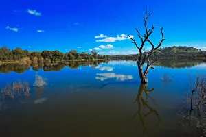 Lake Eildon Lake Eildon