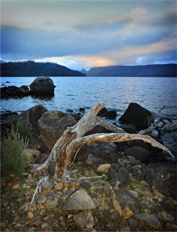 Lake St. Clair with views to the distant mountain range, Central Tasmania Lake St. Clair with views to the distant mountain range, Central Tasmania