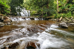Liffey Falls in the Great Western Tiers, Midlands Region of Tasmania, Australia Liffey Falls in the Great Western Tiers, Midlands Region of Tasmania, Australia