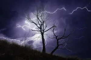 Prints of Australia. Lightning in a stormy sky over a dead tree in the Blue Mountains Lightning Strike Prints: Thunderstorm over a Dead Tree Print