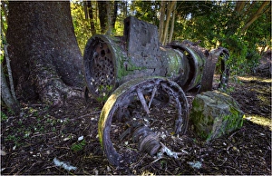 Old Steam traction engine lying in a rainforest on Norfolk Island Old Steam traction engine lying in a rainforest on Norfolk Island
