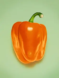 Studio Shot Food Images Prints: Orange Pepper