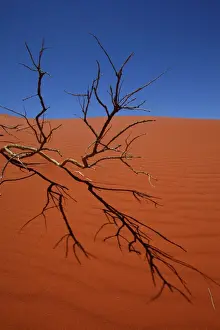 Red Desert Landscape Print