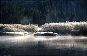 Rising mist on the Yellowstone River, Wyoming Rising mist on the Yellowstone River, Wyoming