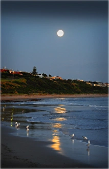 Rising moon Victor Harbour Fleurieu Peninsula South Australia Rising moon Victor Harbour Fleurieu Peninsula South Australia
