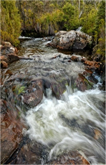 Running stream in the Hartz mountains national park, part of the world heritage wilderness, Tasmania Running stream in the Hartz mountains national park, part of the world heritage wilderness, Tasmania