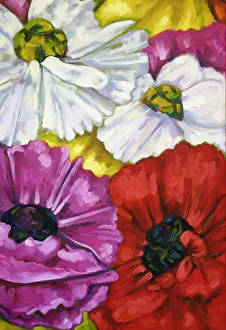 Rununculus Flowers Oil Painting Rununculus Flowers Oil Painting