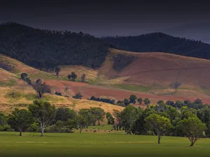 Rural landscape of beautiful farmland in the Upper Murray valley region Rural landscape of beautiful farmland in the Upper Murray valley region