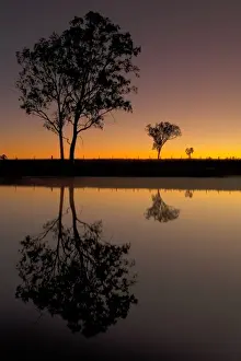 Nature Beauty Images Prints: Rural reflections