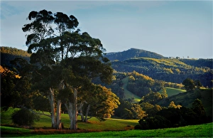 A rural scene of rolling countryside in Goulds country, north east Tasmania A rural scene of rolling countryside in Goulds country, north east Tasmania