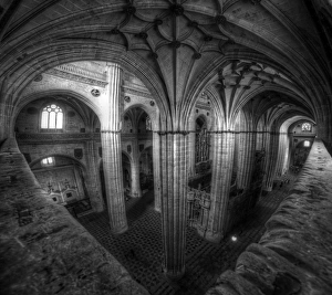 Salamanca Cathedral columns in black and white Salamanca Cathedral columns in black and white
