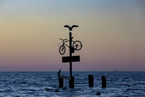 A seagull spreads its wings on a bicycle at the seaside A seagull spreads its wings on a bicycle at the seaside