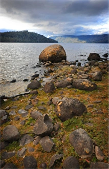 The shoreline of Lake St. Clair in the national park, central highlands of Tasmania The shoreline of Lake St. Clair in the national park, central highlands of Tasmania