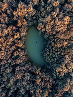 Small lake surrounded by autumn coloured trees, Belgium Small lake surrounded by autumn coloured trees, Belgium