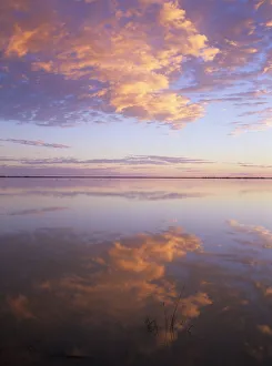 South Australia, Coongie Lakes National Park, flooded lakes at sunrise South Australia, Coongie Lakes National Park, flooded lakes at sunrise