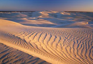 South Australia, Nullarbor National Park, sand dunes at sunset South Australia, Nullarbor National Park, sand dunes at sunset