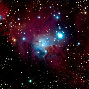 Space Prints: Christmas Tree Cluster Print in Monoceros
